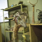 The Carnival of the Animals - The Aviator Ostrich in the foundry